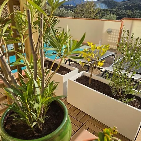 Piscine Chauffee Privative Au Nid De Paulilles Lejlighed