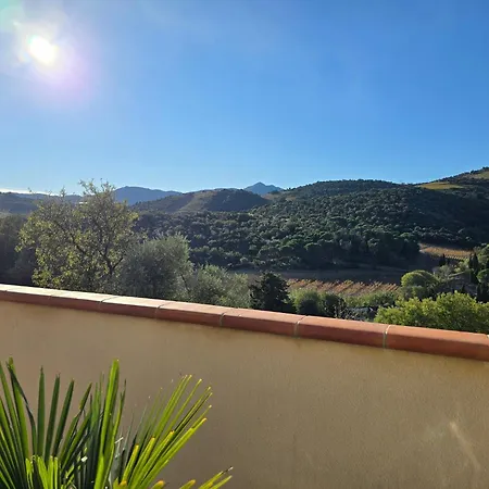 Piscine Chauffée Privative Au Nid De Paulilles *
