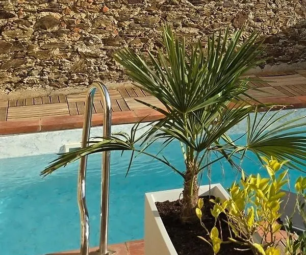 Piscine Chauffee Privative Au Nid De Paulilles *