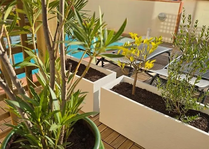 Piscine Chauffee Privative Au Nid De Paulilles דירה